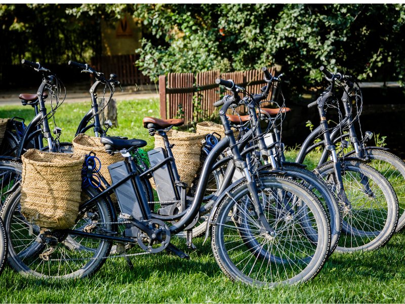 From Vineyards to Seashores: Top E-Bike Tours for the Adventurous Boomer - Ebike Boomers