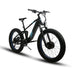 Long Range 1500W E-Bike