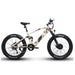 High Power Electric Bicycle