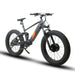 Rugged All-Terrain E-Bike