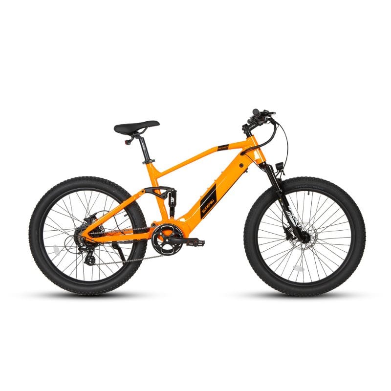 Long Range Electric Mountain Bike