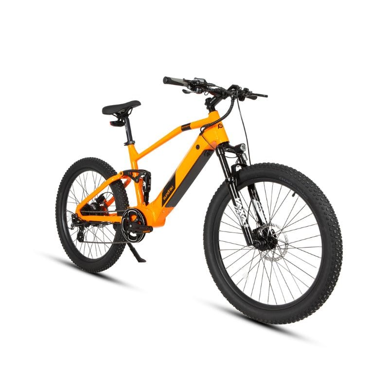 Trekking E-Bikes