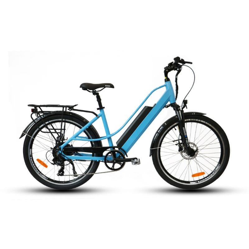 Torque Sensor E-Bike