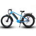 Off-Road Electric Bike