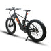 Off-Road Fat Tire Bike