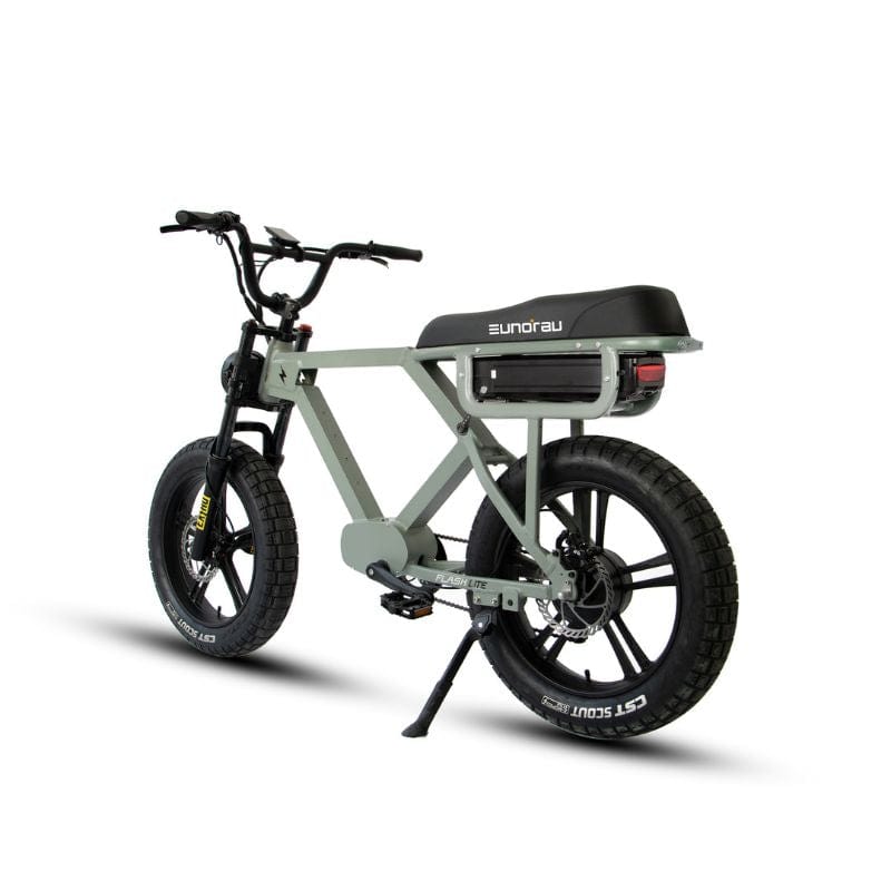 Flash 750W/1000W/1500W Fat - Tire E - Bike - Ebike Boomers