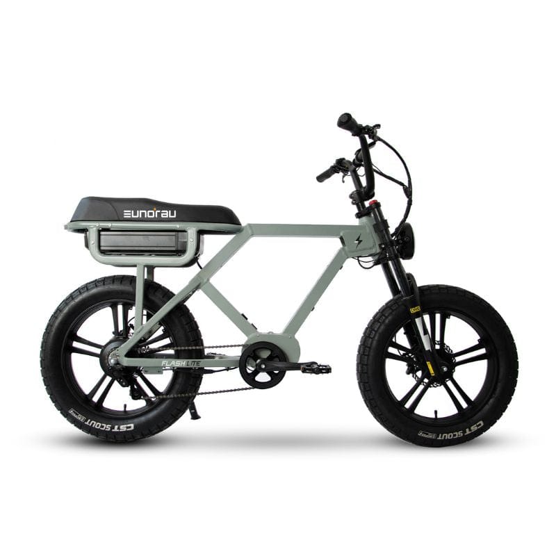 Flash 750W/1000W/1500W Fat - Tire E - Bike - Ebike Boomers