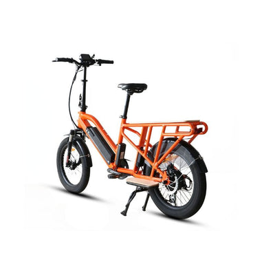 Cargo Electric Bike