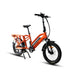 Urban Delivery E-Bike