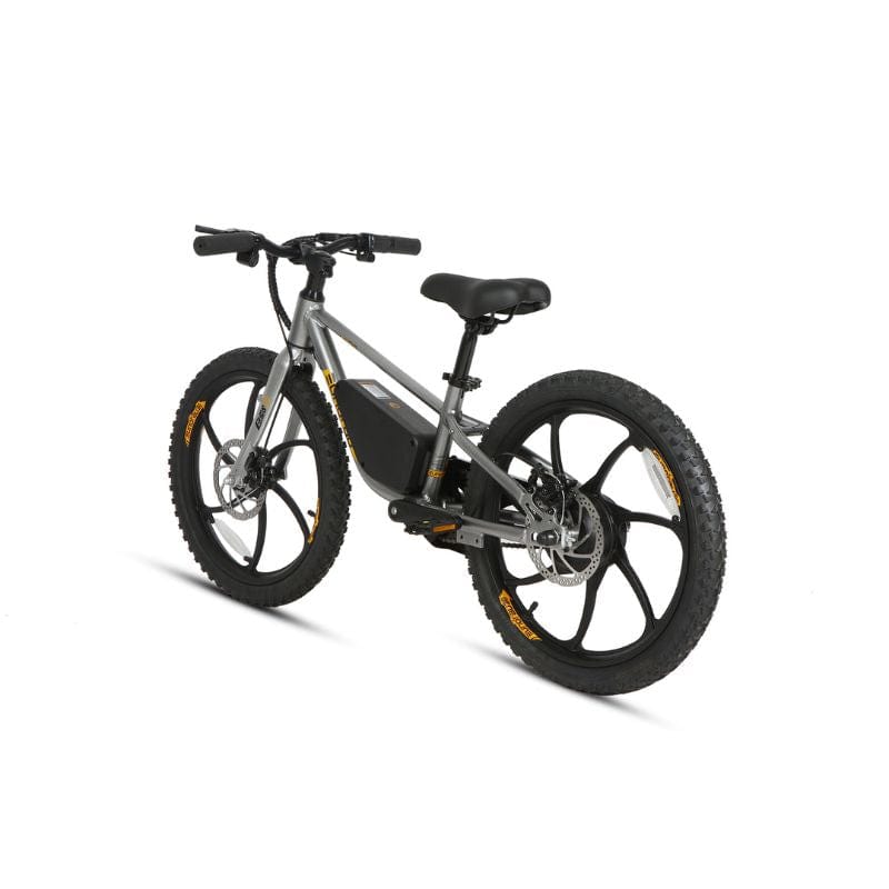 Child-Friendly E-Bike