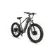 Dual Motor AWD E-Bike