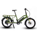 Heavy Duty Electric Bike