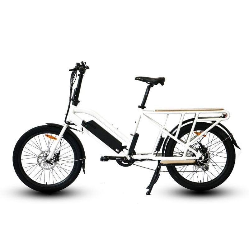 E-Bike for Cargo Transport