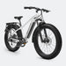 Velowave Ranger 2.0 Fat Tire All-Terrain E-Bike Silver 2 | Ebike Boomers LLC