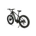 26" Fat Tire E-Bike