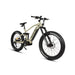 1000W Mid-Motor E-Bike