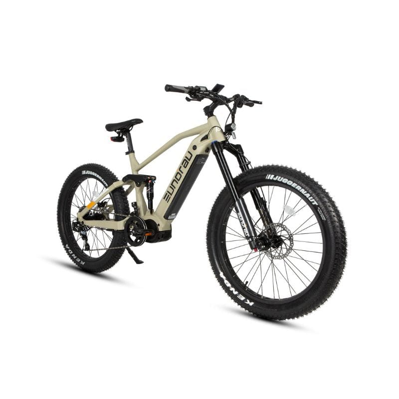 1000W Mid-Motor E-Bike