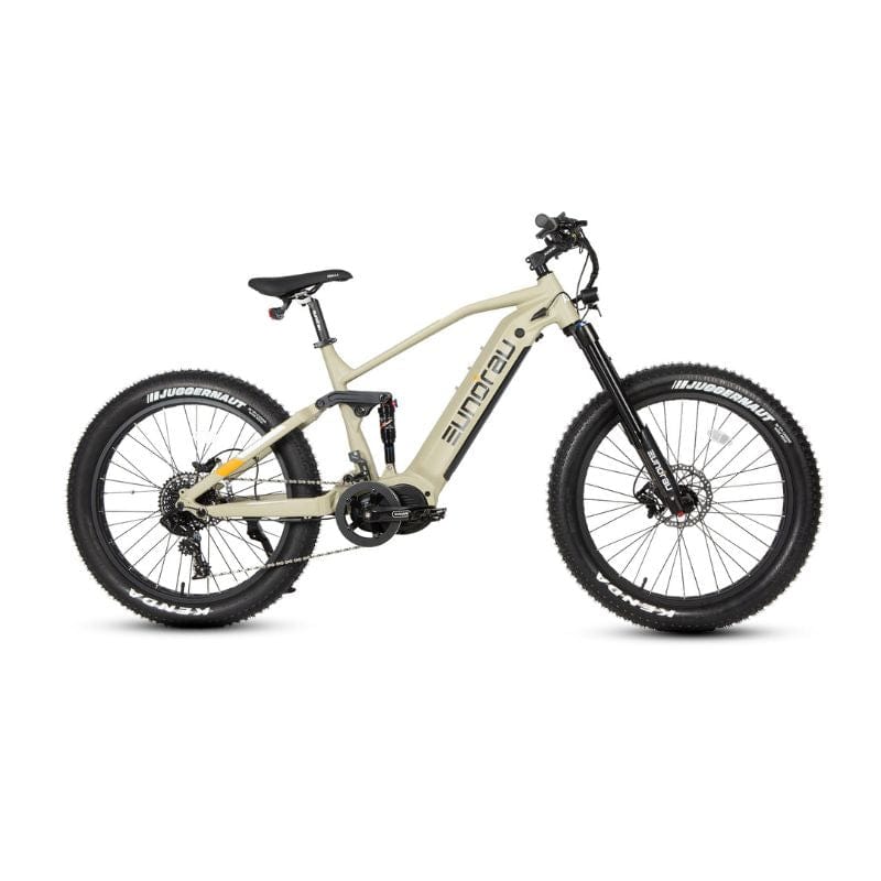 Fat Tire Electric Bike