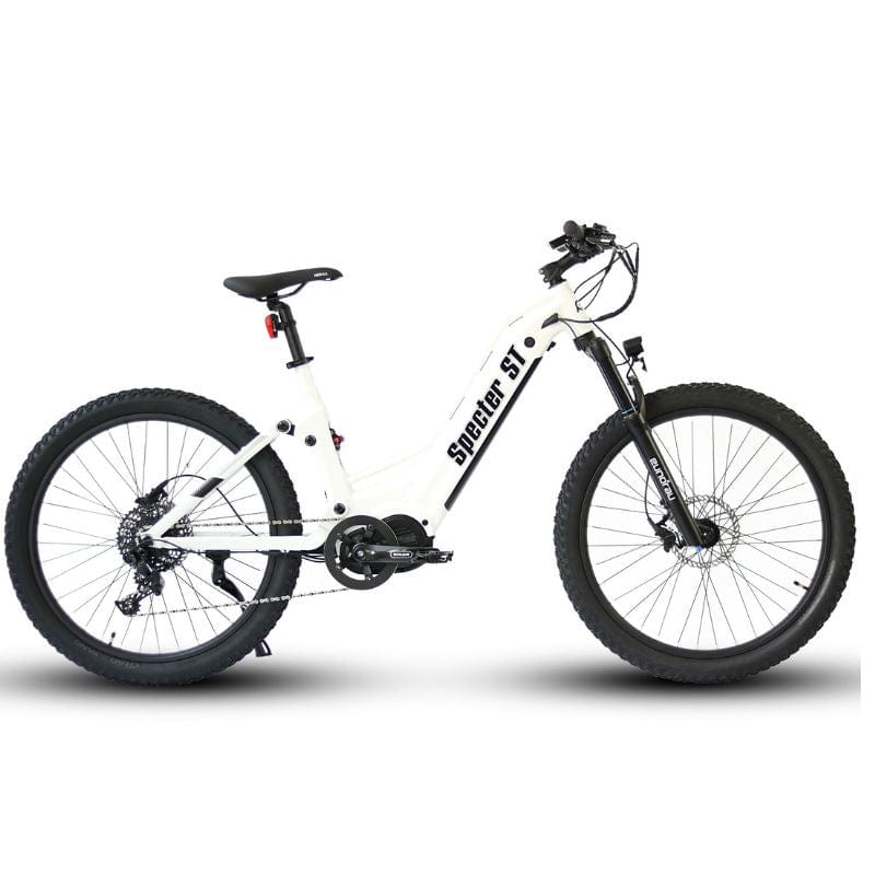 Fat Tire Electric Bike