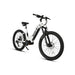 High Power Mountain E-Bike