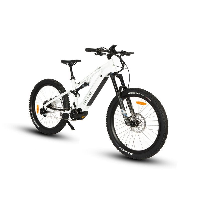 Rugged Electric Bike