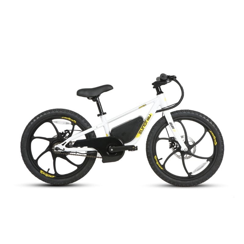 E - Kids 20" E - Bike - Ebike Boomers