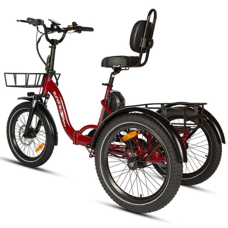 One - Trike 2024 - Ebike Boomers