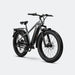 All-Terrain Electric Bicycle