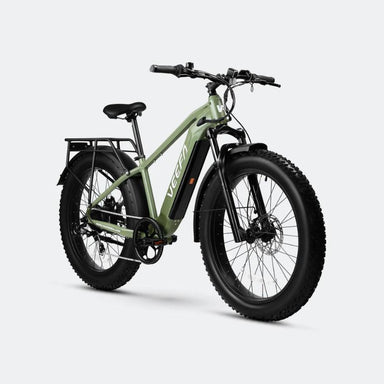 Fat Tire All-Terrain E-Bike