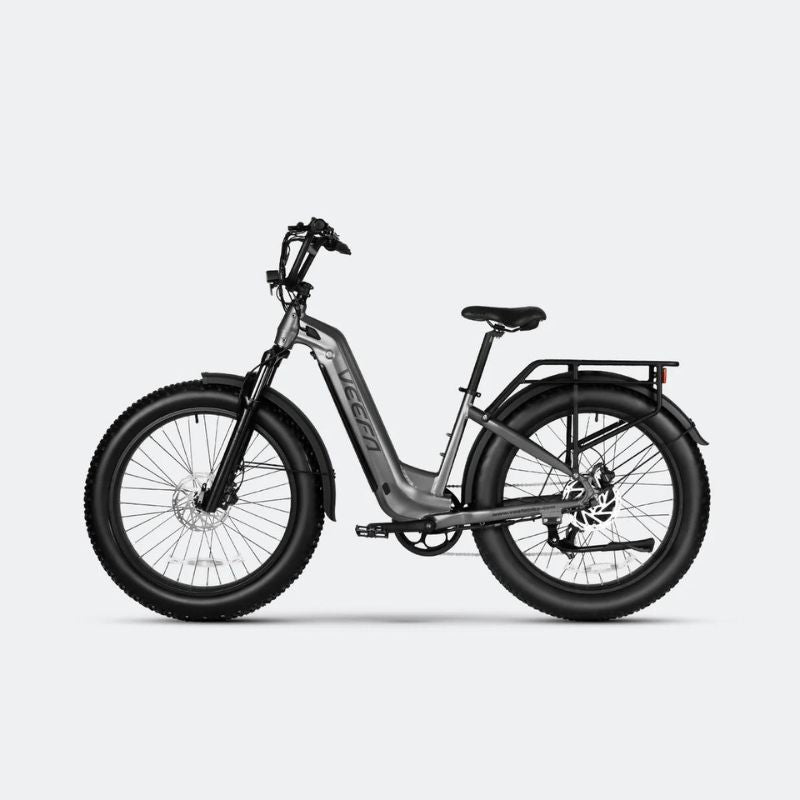 All-Terrain Step-Through E-Bike