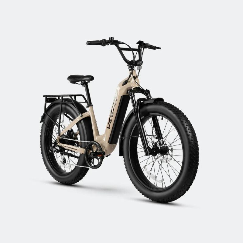 Comfortable Electric Bike