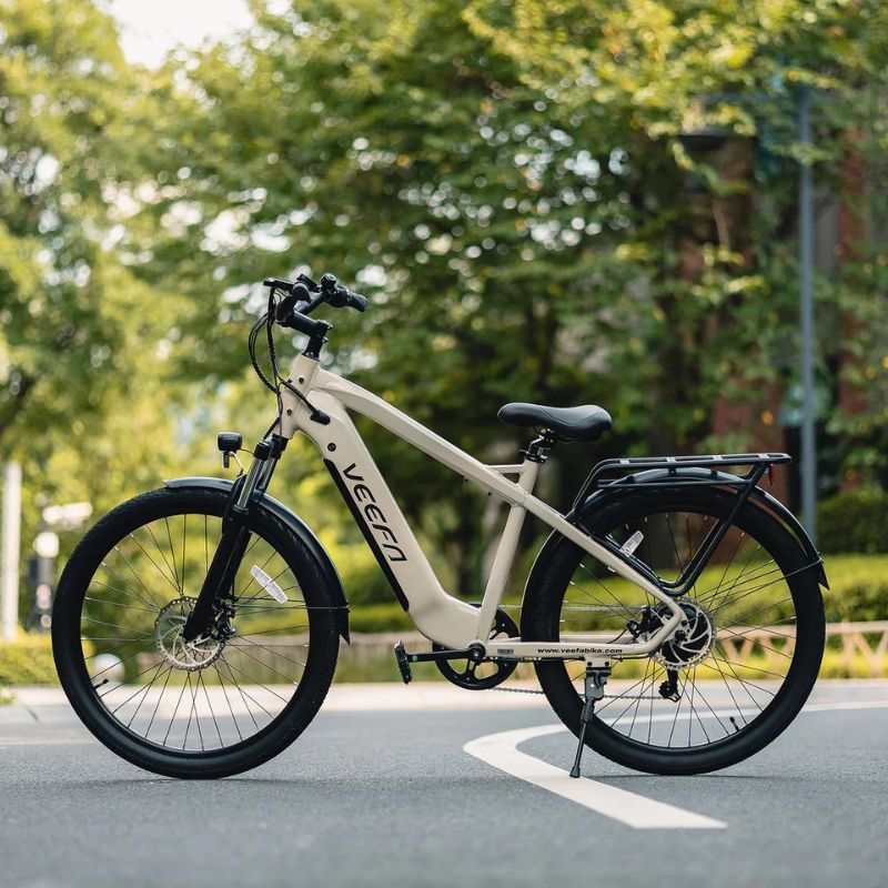 Long Range City E-Bike