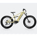 Velowave Brawny XM Fat - Tire Mountain E - Bike - Ebike Boomers