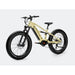 Velowave Brawny XM Fat - Tire Mountain E - Bike - Ebike Boomers