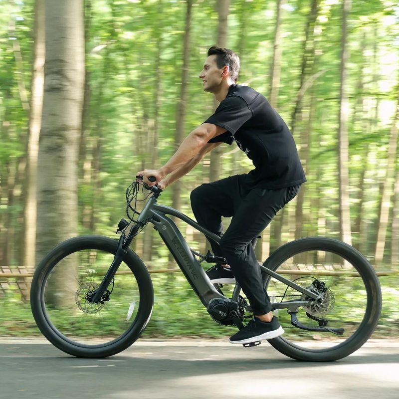 Velowave Forest SM MTB - Ebike Boomers