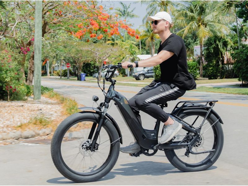 Velowave Grace Step - Thru E - Bike - Ebike Boomers