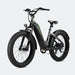 Velowave Grace 2.0 Step-Thru Fat Tire All-Terrain E-Bike Mint Green 1 | Ebike Boomers LLC